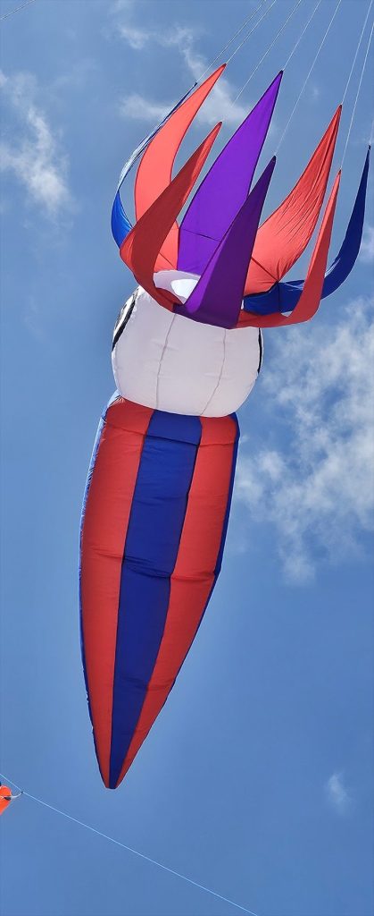 Pipa gigante em forma de lula-foguete no céu